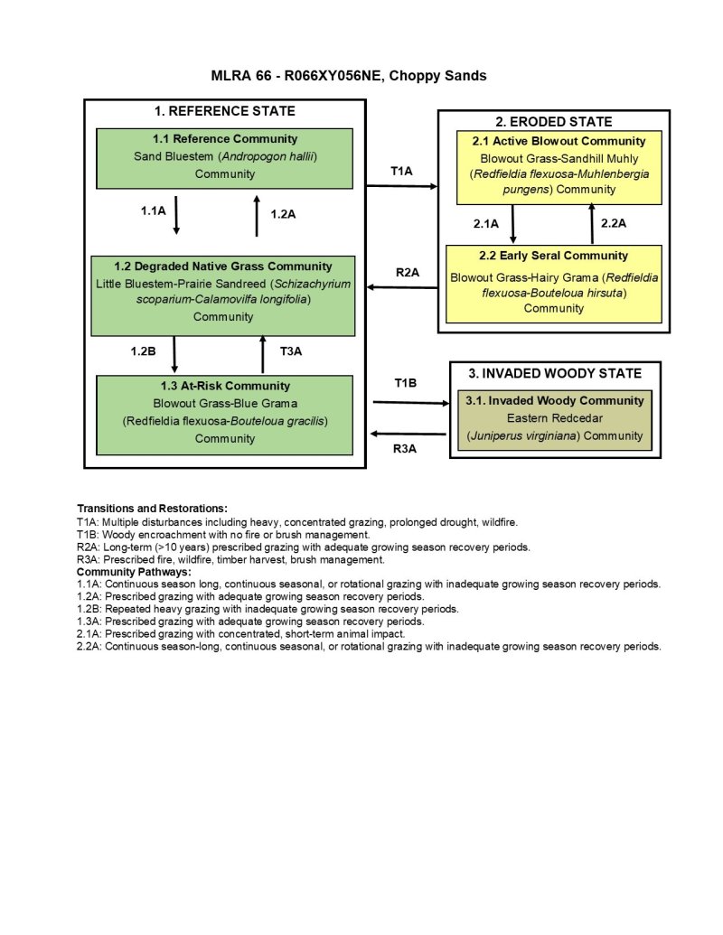 Model diagram