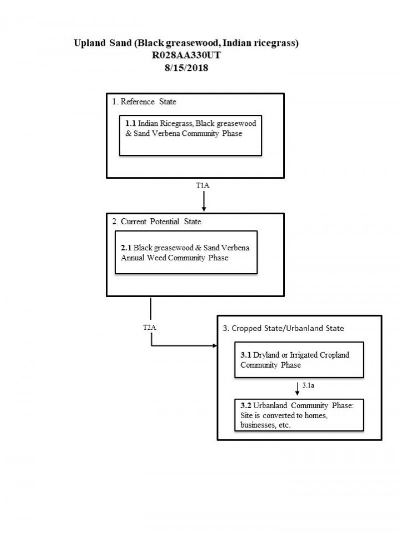 Model diagram