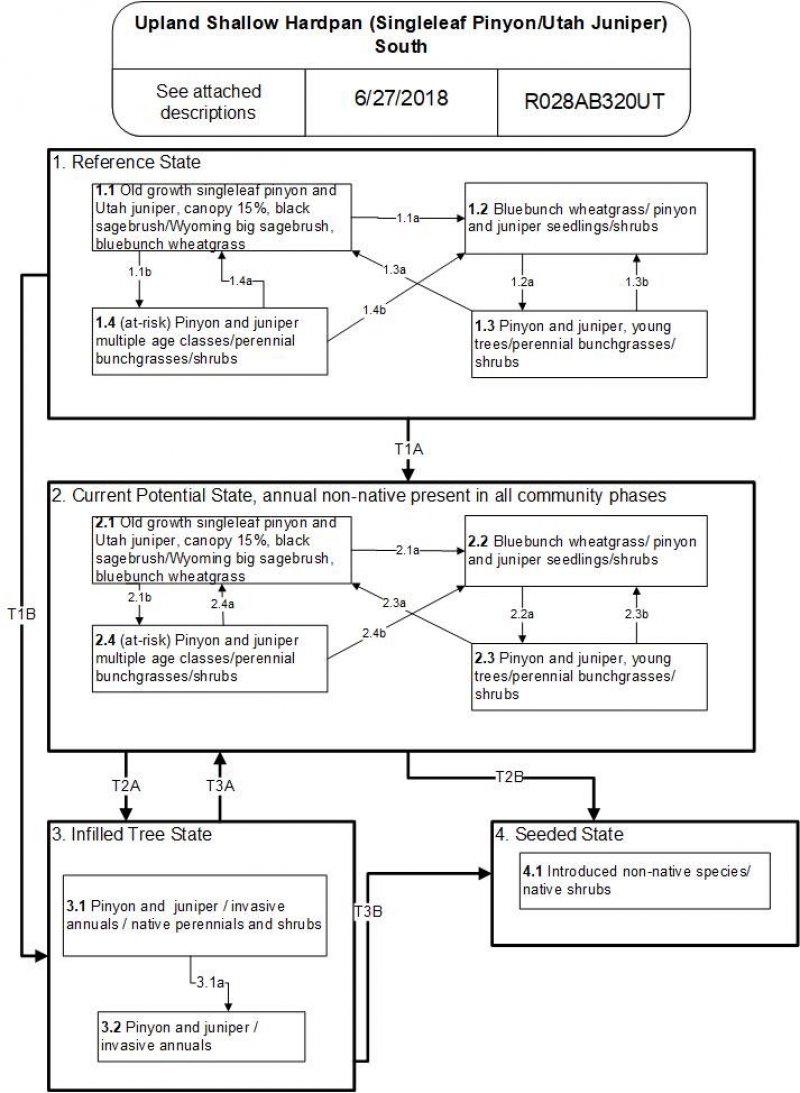 Model diagram