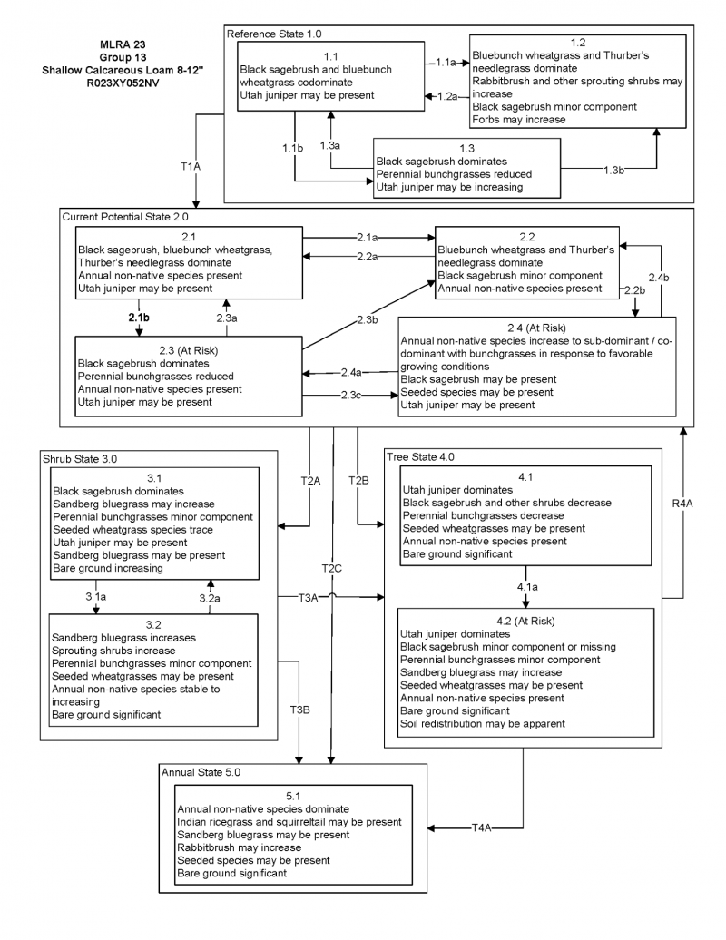Model diagram