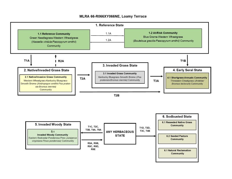 Model diagram