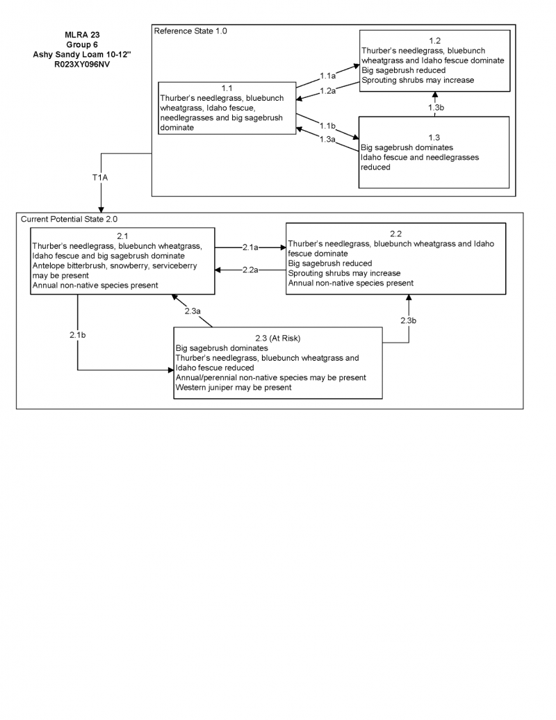 Model diagram
