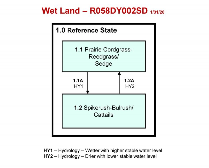 Model diagram