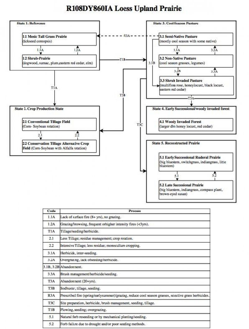 Model diagram