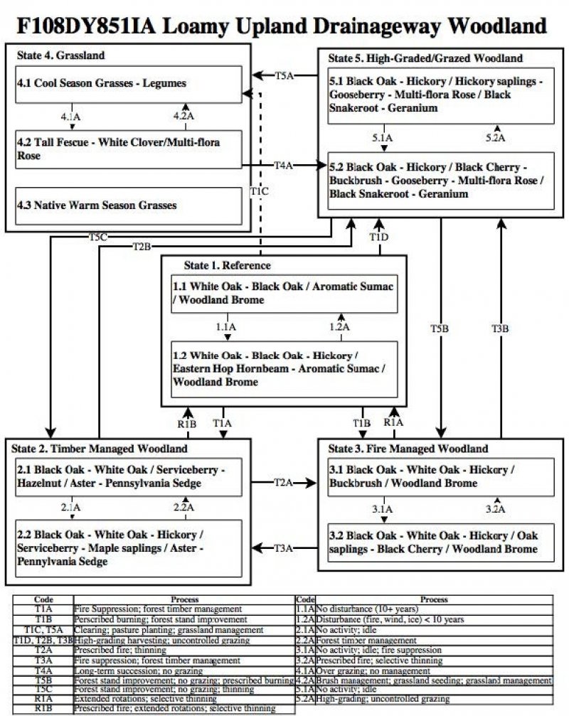 Model diagram