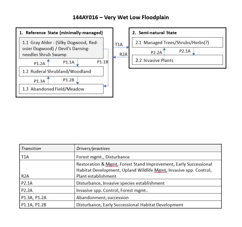 Model diagram