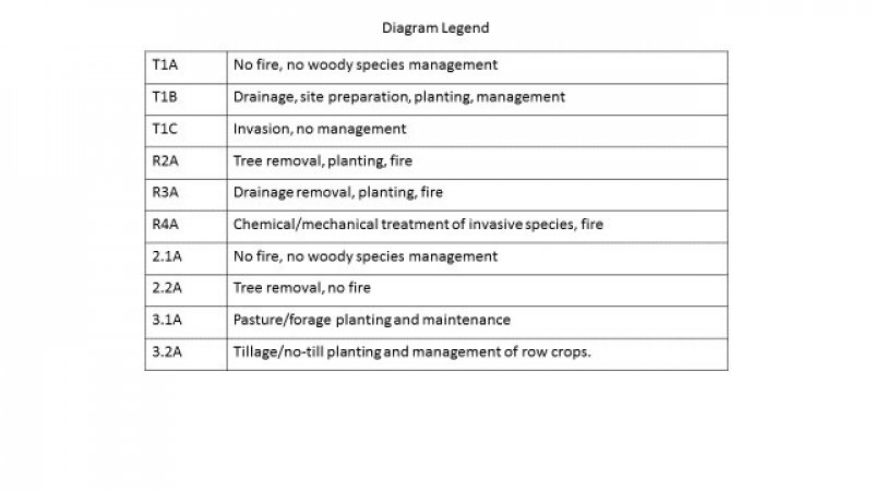 Model diagram