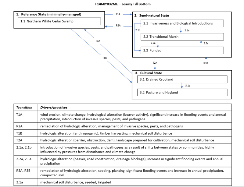 Model diagram