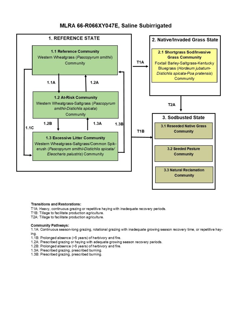 Model diagram