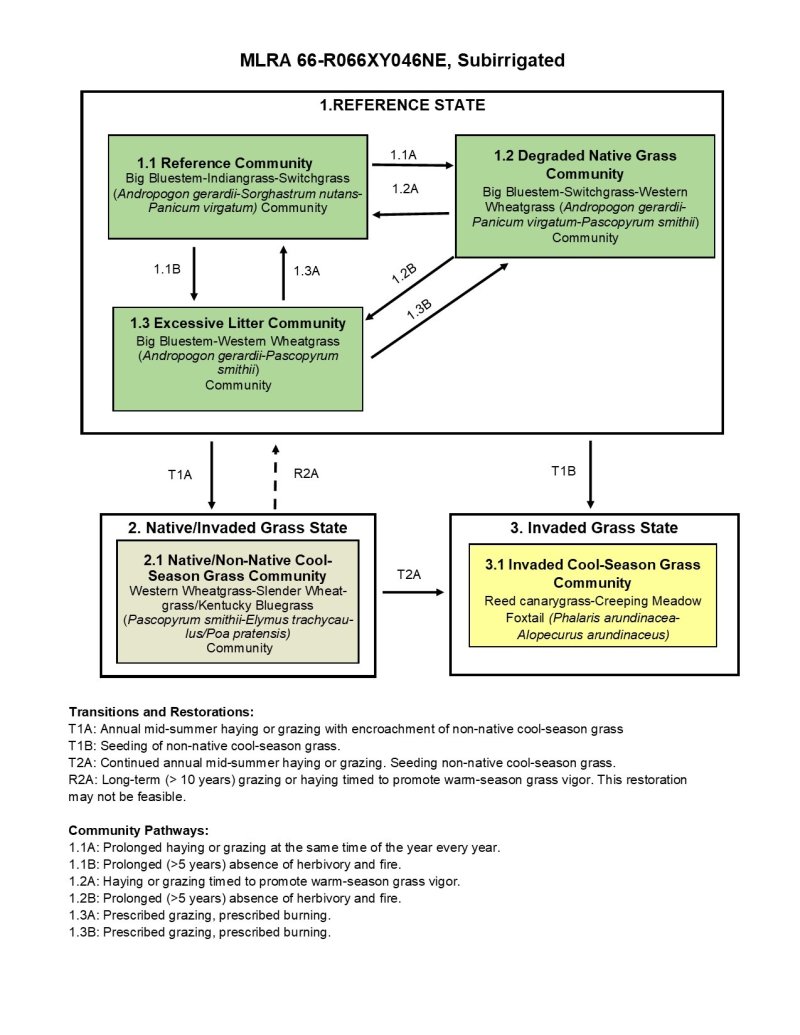 Model diagram