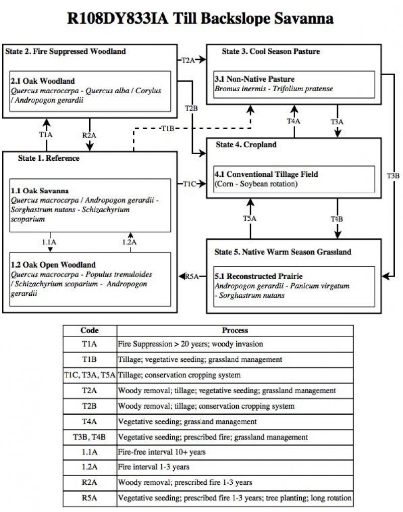 Model diagram