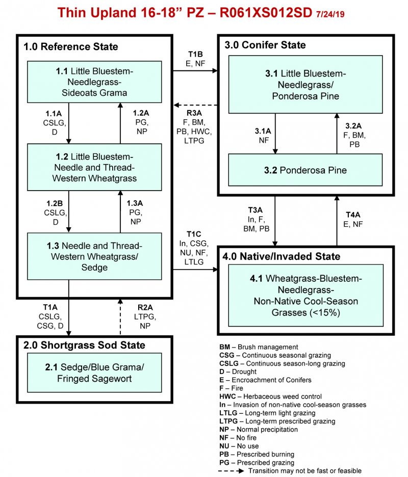 Model diagram