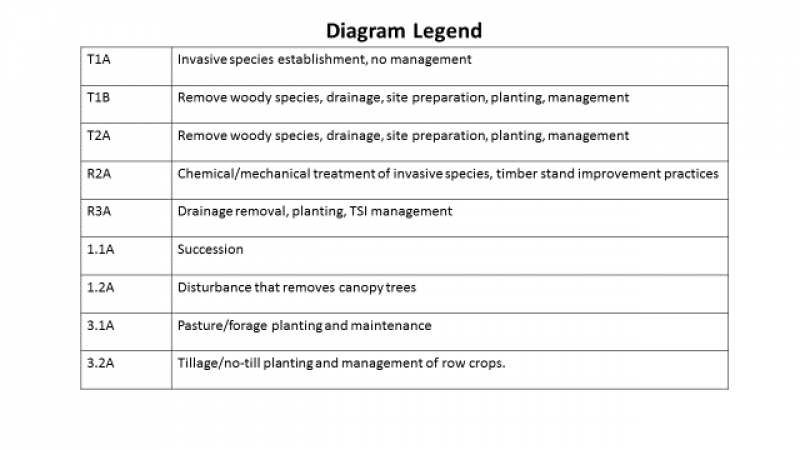 Model diagram