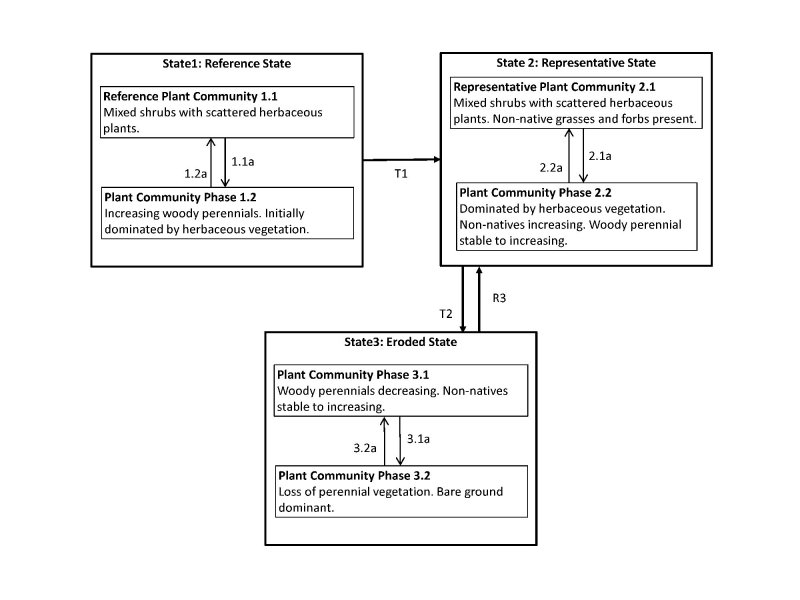 Model diagram