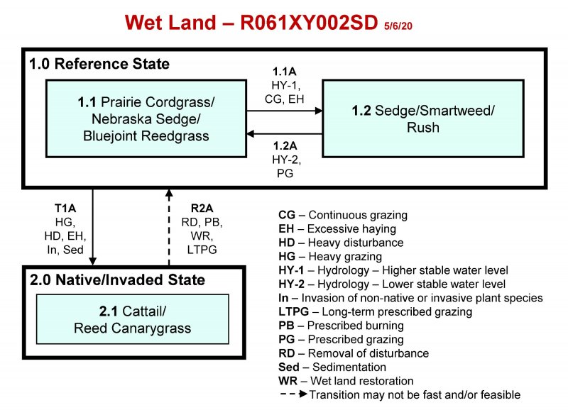 Model diagram