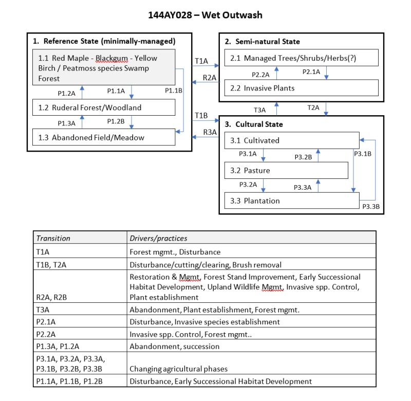 Model diagram