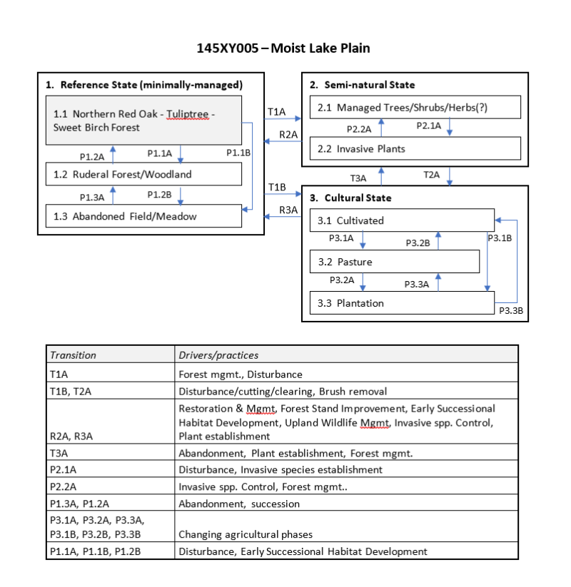 Model diagram