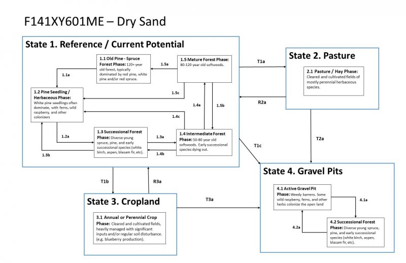 Model diagram