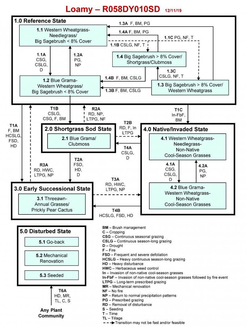 Model diagram