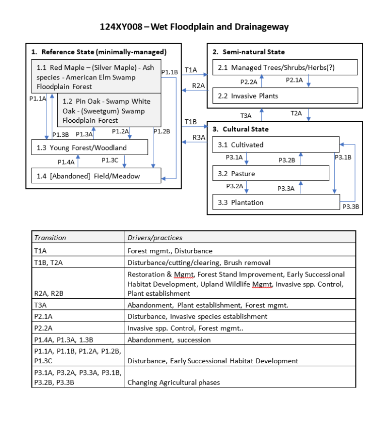 Model diagram