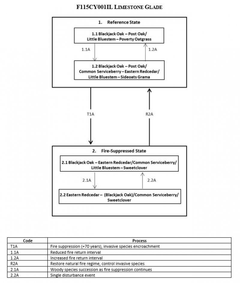 Model diagram