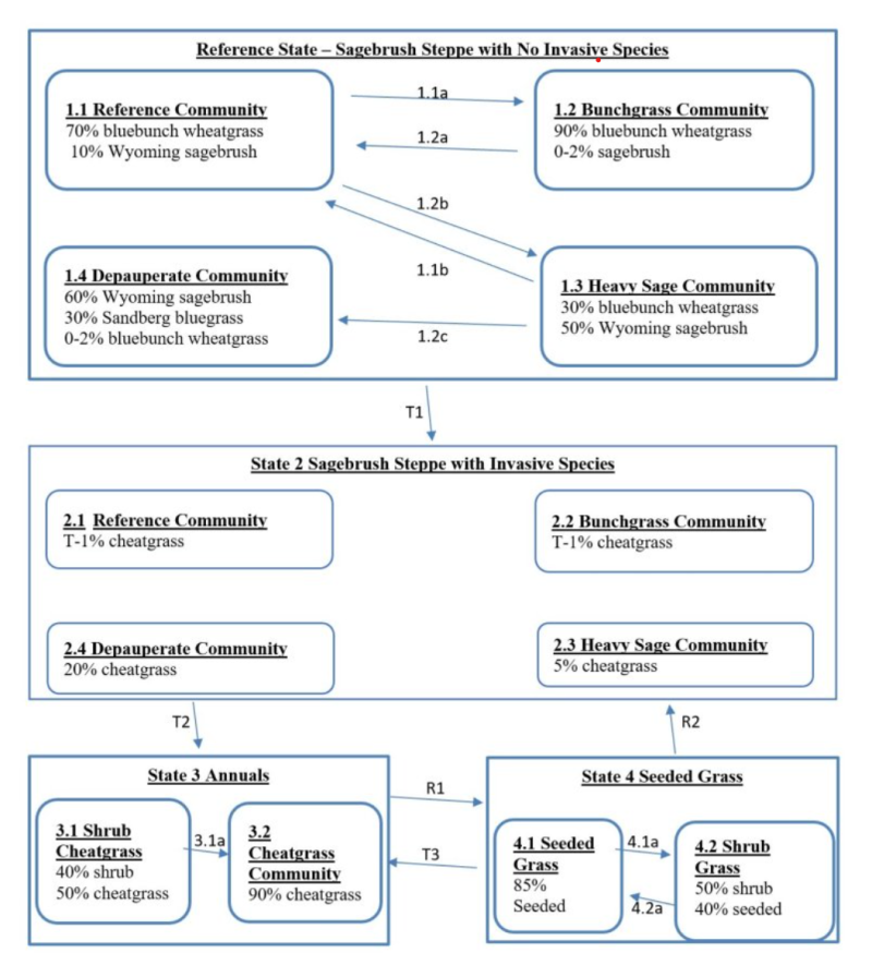 Model diagram
