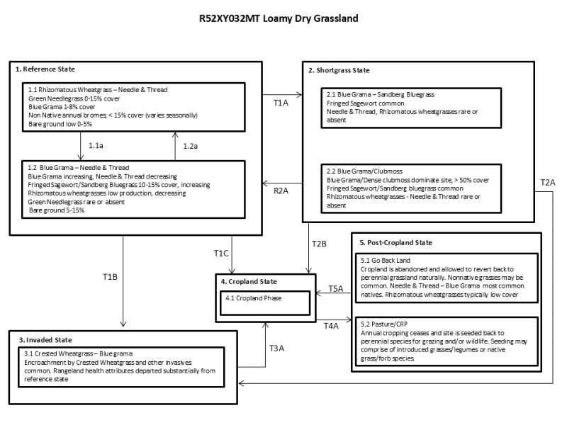 Model diagram
