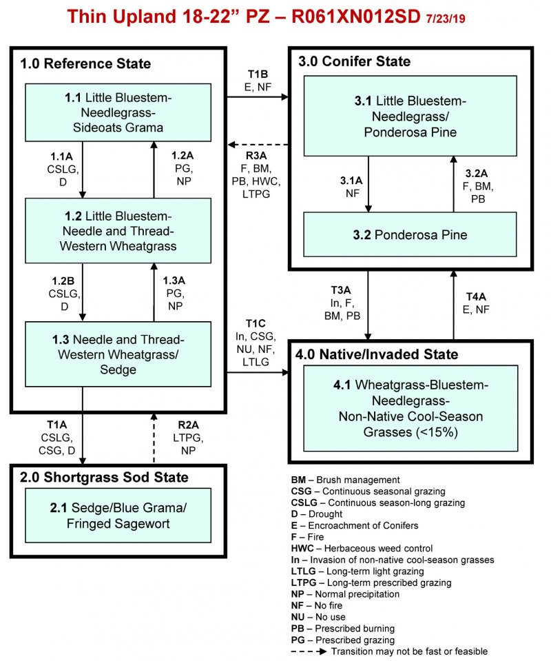 Model diagram