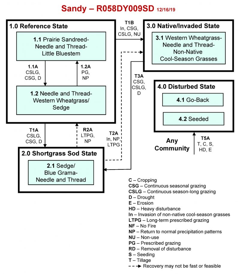 Model diagram