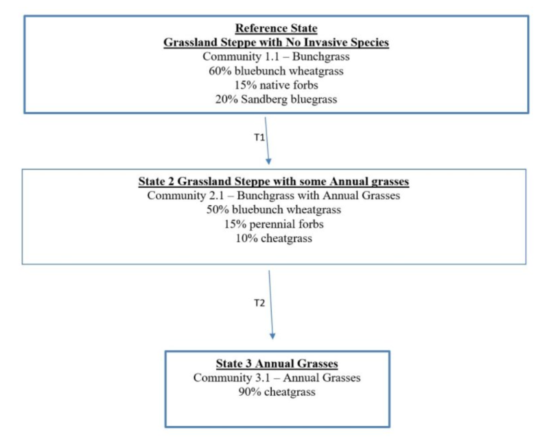 Model diagram