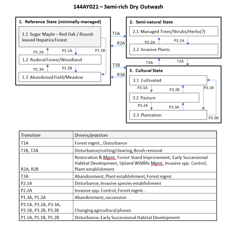 Model diagram