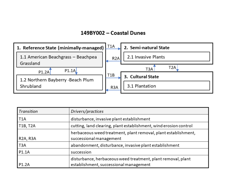 Model diagram