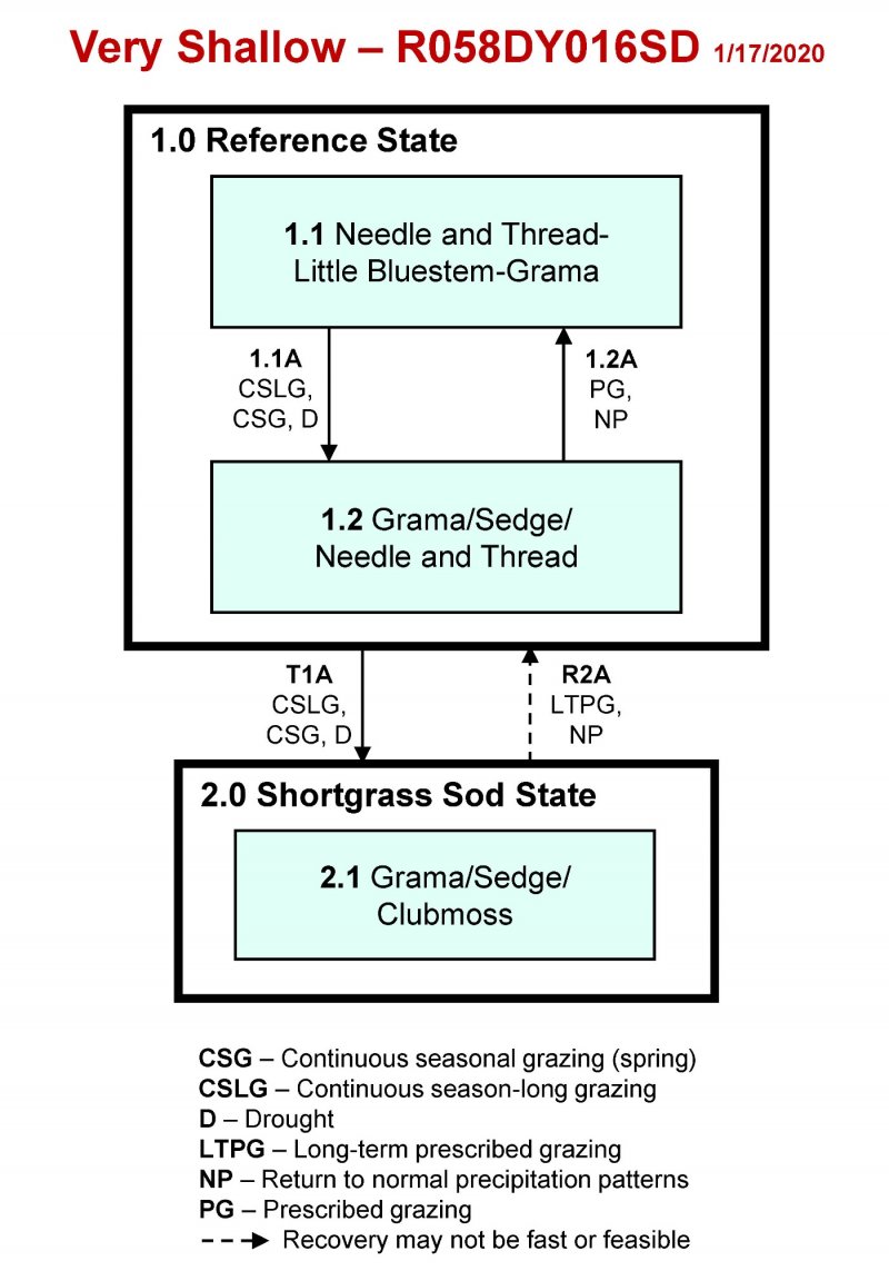 Model diagram