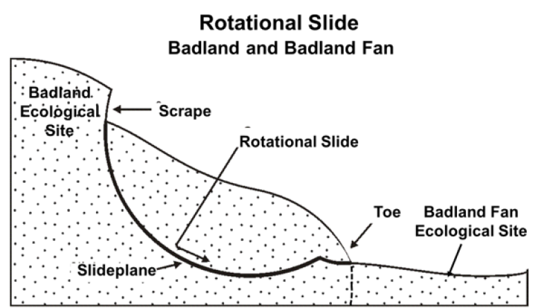 Model diagram