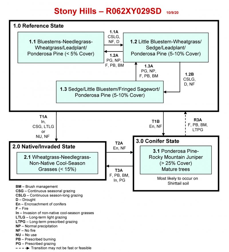 Model diagram