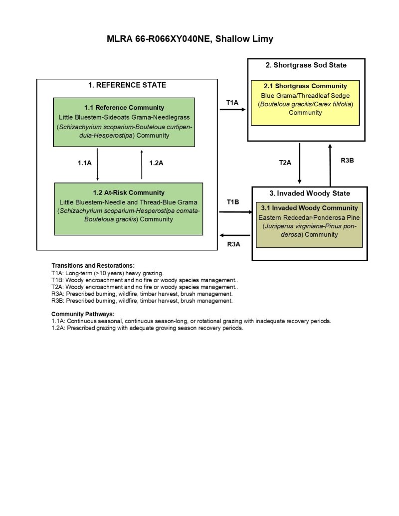 Model diagram