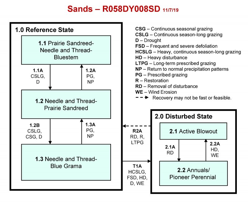 Model diagram