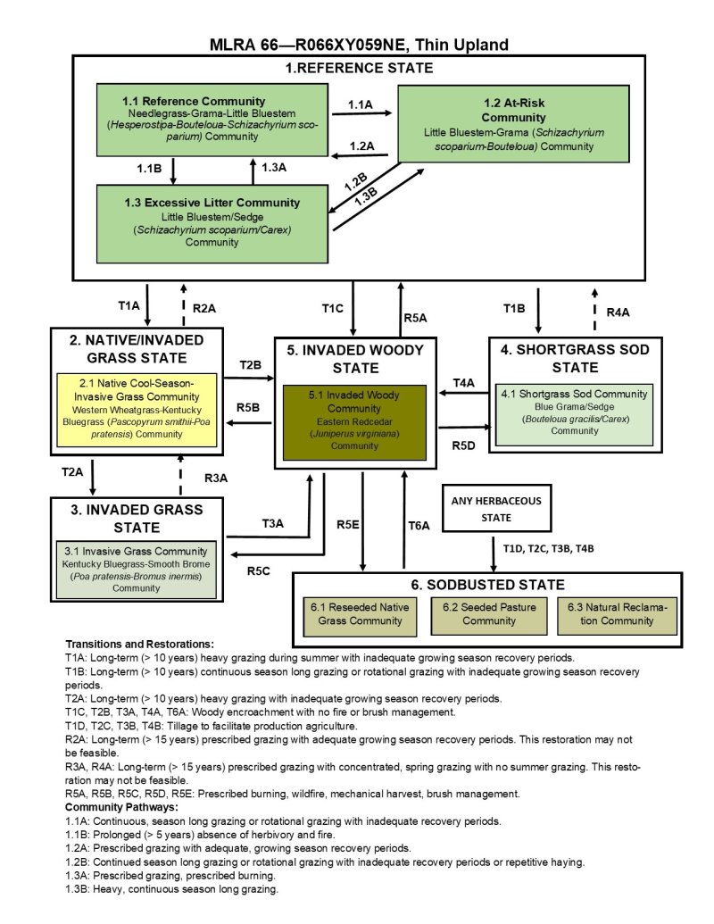 Model diagram