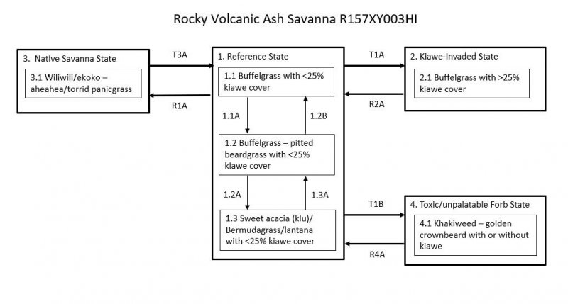 Model diagram