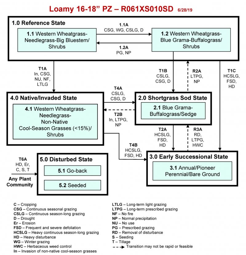 Model diagram