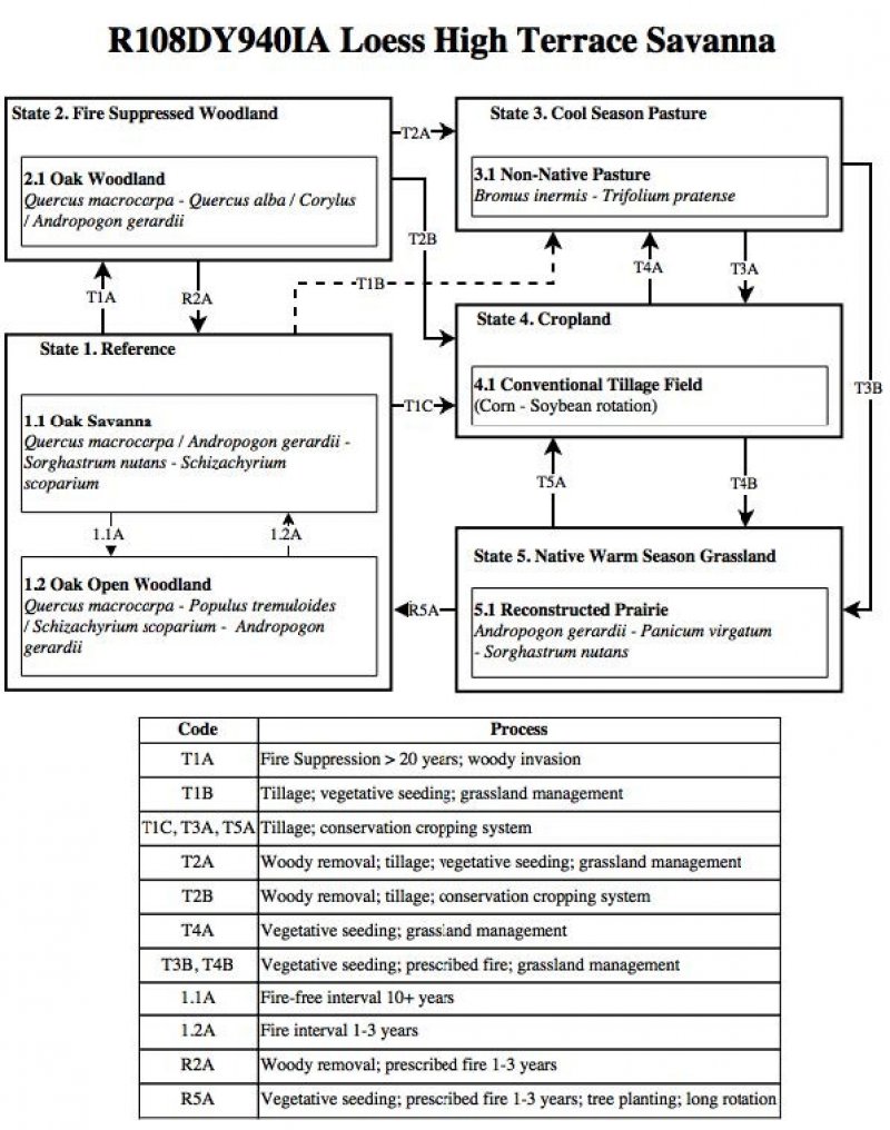 Model diagram