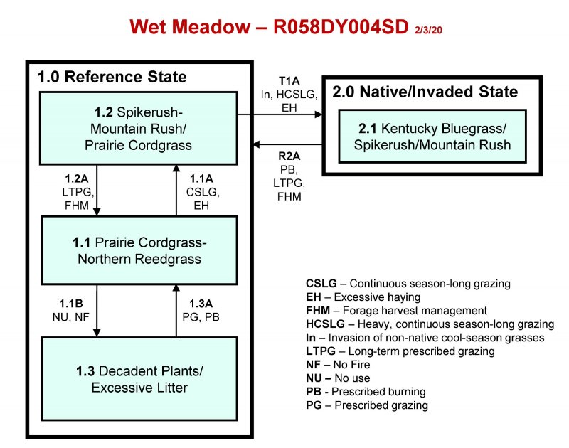 Model diagram