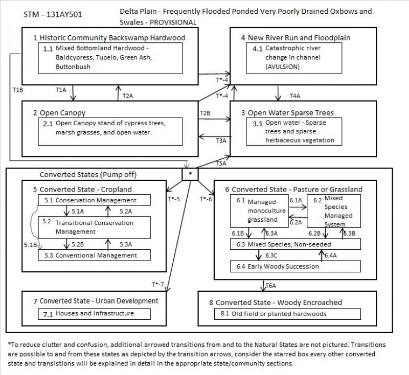 Model diagram