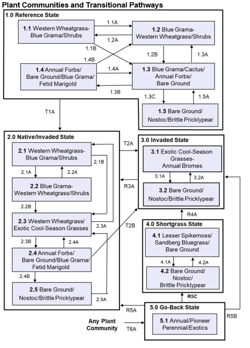 Model diagram