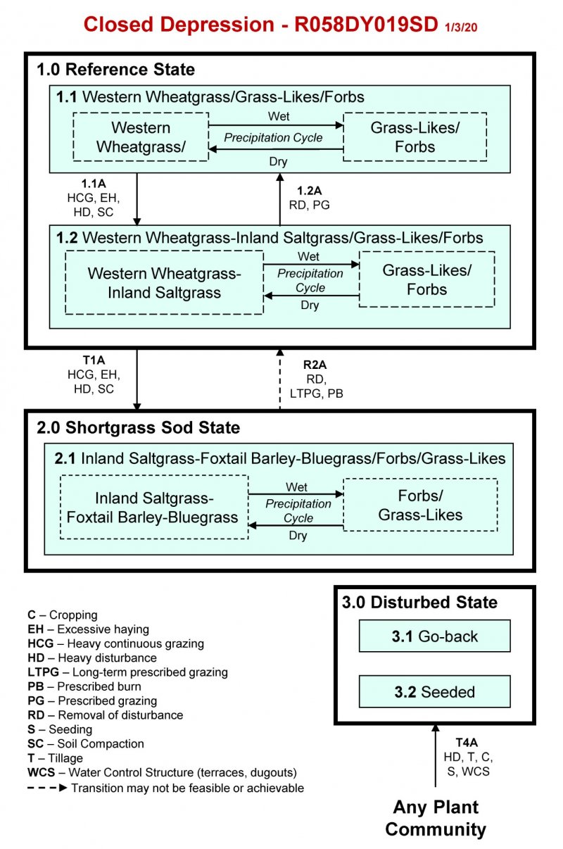 Model diagram