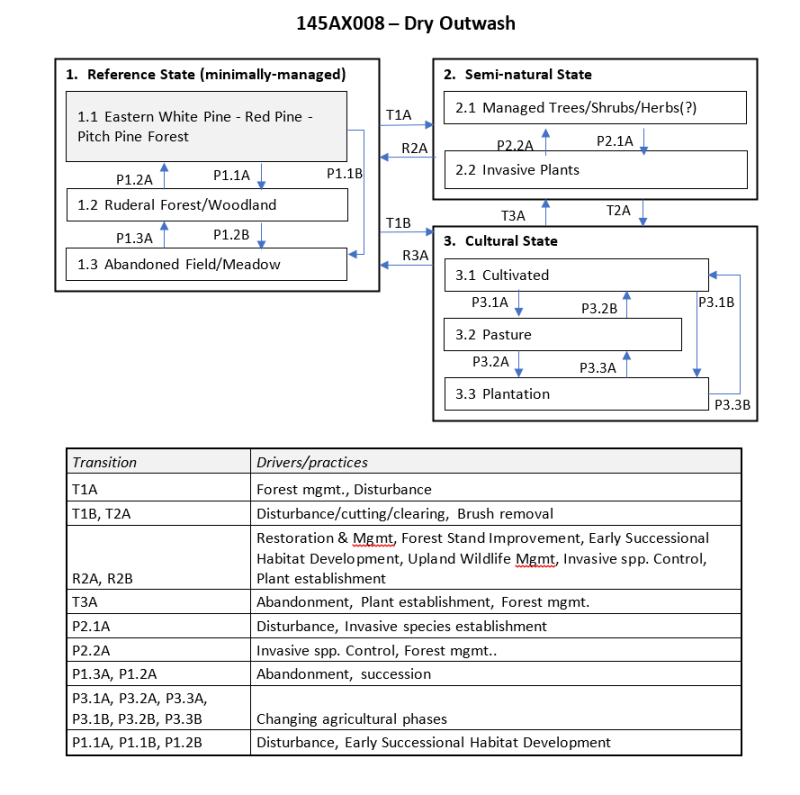 Model diagram