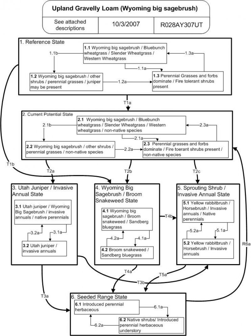 Model diagram