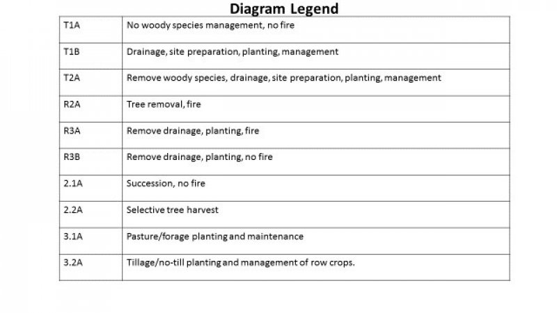 Model diagram