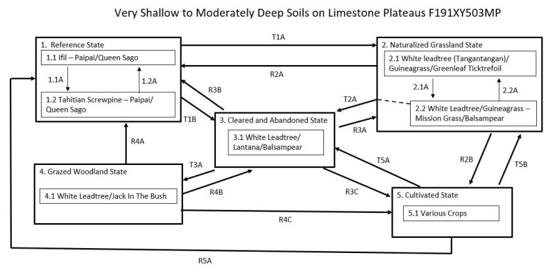 Model diagram