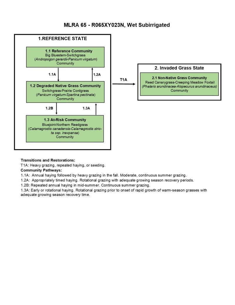 Model diagram